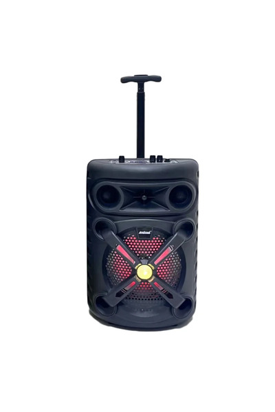 Andowl Φορητό ηχείο Bluetooth 8” με ασύρματο μικρόφωνο, LED φωτισμό και τηλεχ...