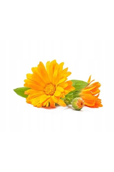 Equiherbs Nagietek flori uscate EKO-bag 2500g