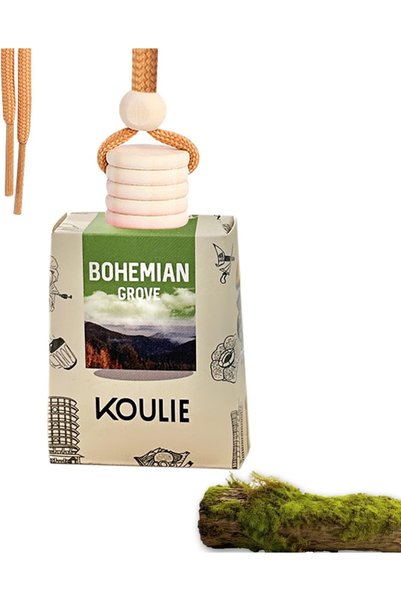 Generic معطر هواء للسيارة سعة 10 مل للزيوت العطرية، ناشر عطر معلق للسيارة، رو...