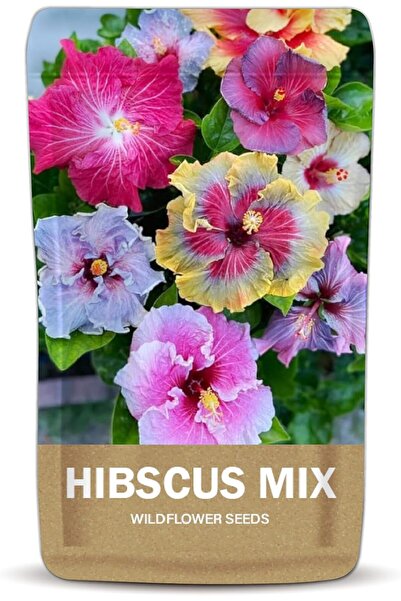 Generic Hawaiian Hibiscus Seeds for Planting – Assorted Mix Hibiscus Seeds fo...