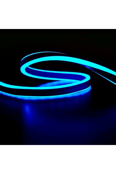 Aca Light ΛΑΜΠΑ ΝΕΟΝ ΣΩΛΗΝΑΤΗ 100 LED/Μ ΜΠΛΕ ΣΤΑΘΕΡΗ ΦΩΤΙΣΗ ΔΙΠΛΗΣ ΟΨΗΣ 50μ I...