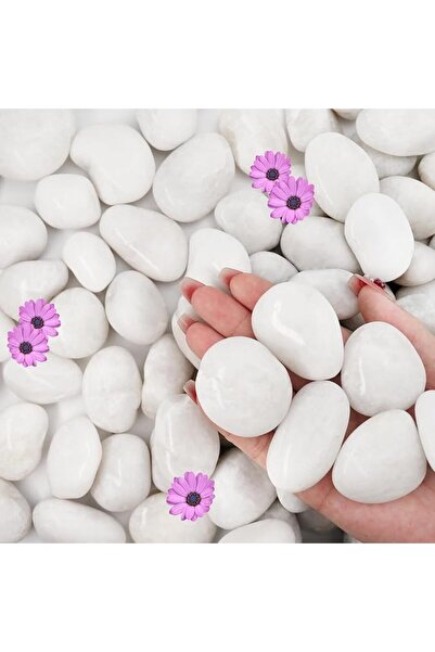 Home Zone 22 LB (10 KG) White River Rocks for Outdoor Landscaping, 1-2 Inch P...