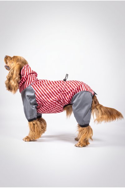 Moab ™   Drypack Dog Raincoat, Collar and Harness Compatible, Reflective, Eas...