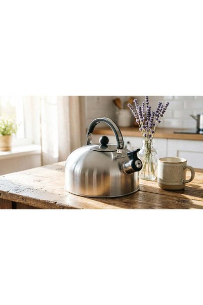 Bister Whistling Tea Kettle 1.5 Liter Stainless Steel Silver Polishing