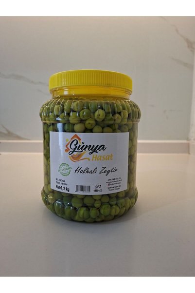 GÜNYA HASAT HATAY HALHALI ZEYTİN 1200 G (YENİ SEZON 2026)