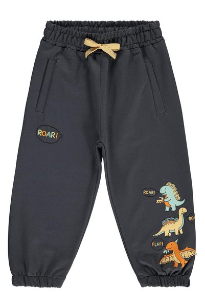 Civil Boys Dinosaur Printed Sweatpants for Ages 2-5 - Gray