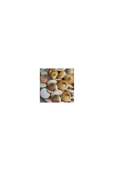 BERAT Yalancik Stone - Natural Stone - Male and Female Stones Mixed - 18 Piec...