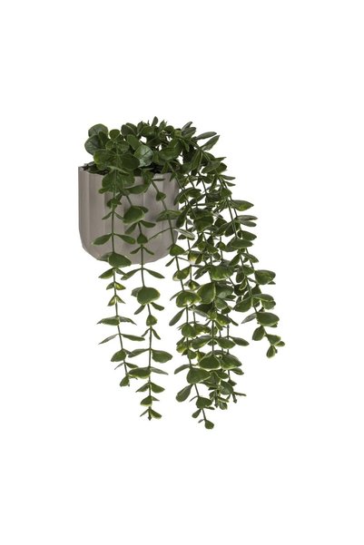 OEM Ghiveci Decorativ din Plastic Taupe cu Planta Artificială Curgatoare Ø8x2...