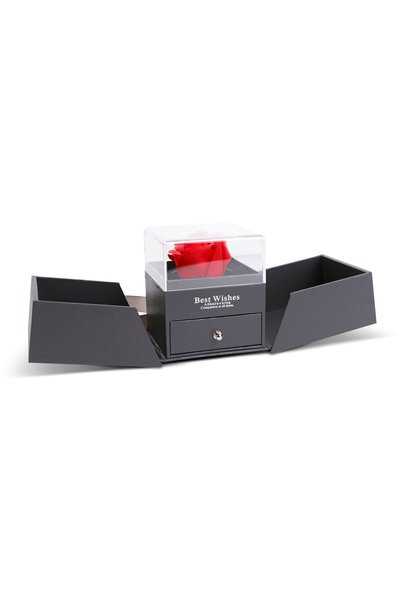 Alista Home Eternal rose in a gift box with a necklace 10cm, artificial red r...