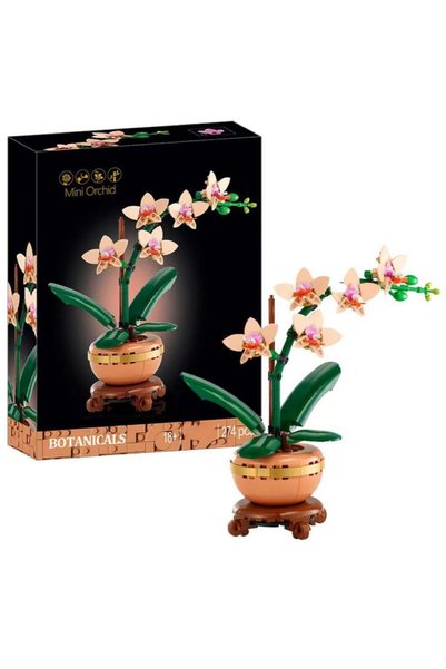 Botanic Mini Orchid Plant Gift (274) Pieces