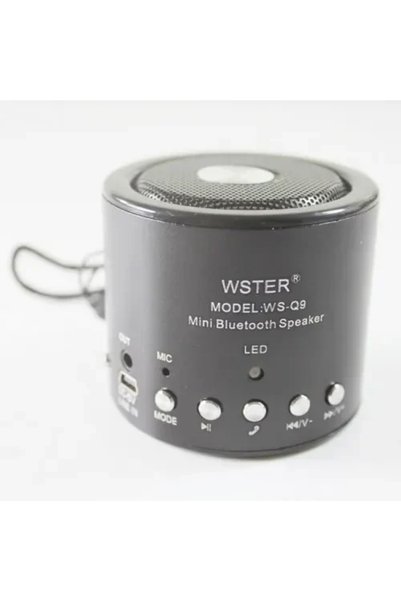 OEM Mini ασύρματο επαναφορτιζόμενo ηχείο Bluetooth WS-Q9, σε ασημί χρώμα