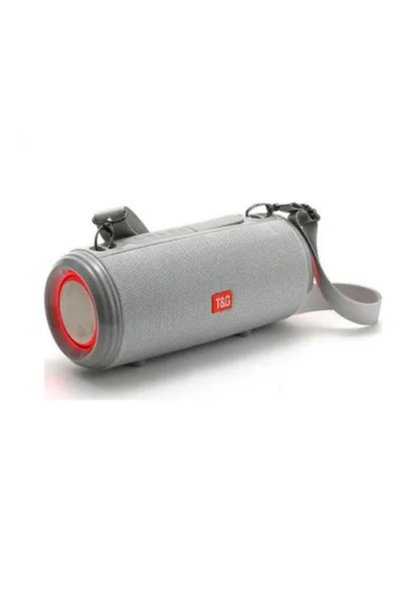 TG Αδιάβροχο ηχείο Bluetooth 10W με ραδιόφωνο και 2 ώρες λειτουργίας Silver T...