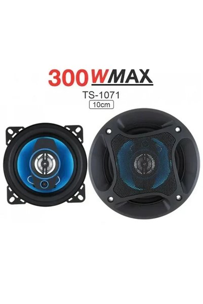 OEM Σετ Ηχεία Αυτοκινήτου 300W με Δύο Μεγάφωνα TP-1071
