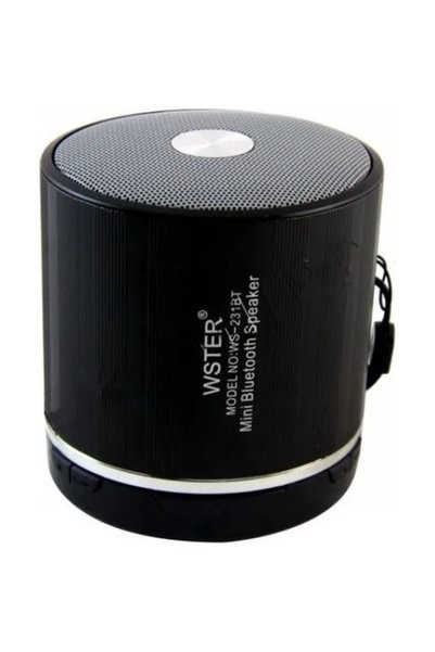 OEM Ηχείο Bluetooth 5W με ραδιόφωνο και 5 ώρες λειτουργίας Black WSTER WS-231