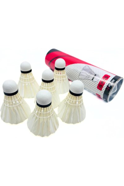 Generic Badminton Shuttlecock 6Pcs in a Box
