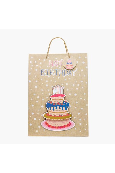 Findz Birthday Accessories Print Paper Gift Bag - Large