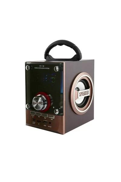 OEM Ηχείο με Λειτουργία Karaoke CV-18 σε Καφέ Χρώμα