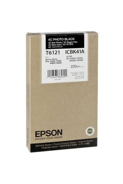EPSON Cartus cerneala C13T612100, Negru foto, 220 ml