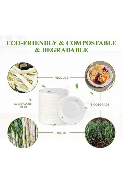 TERRIFI Compostable Small Paper Plates,Biodegradable Disposable Plates Made from Sugar Cane Fibers,Uncoated