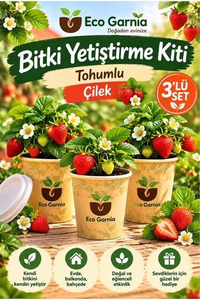 EcoGarnia Bitki Yetiştirme Kiti (Çilek) Tohumlu– 3’lü Set