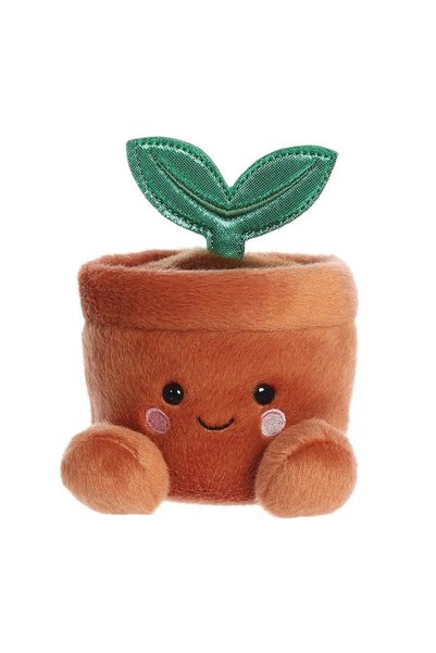 Aurora Βελούδινο PALM PALS Terra Φυτό σε Γλάστρα 13 εκ.