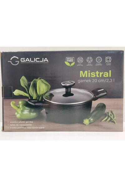 Galicja Oală tradițională 2.3 l