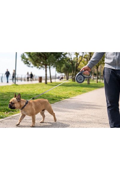 almital mobilya aksesuarları furniture accessories 3 Meter Reel Automatic Cat and Dog Walking Leash (Gray)