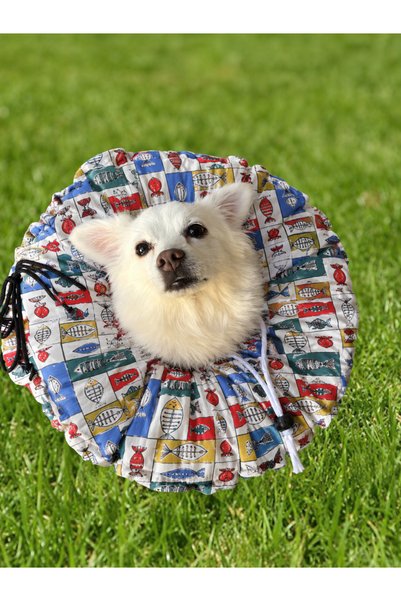 Petris Cat Dog Funnel Operation Neck Collar, Collar, Pillow, Elizabeth (XL Outer Edge Diameter: 45 cm Inner Edge: 40 cm)