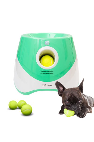 SHAW Automatic ball launcher for dogs, SHAW, USB charging, motion sensor, 3 b...