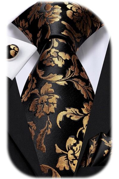 Dubulle Mens Paisely Silk Tie for Men Necktie and Pocket Square Set
