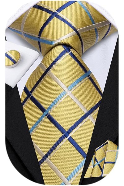 Dubulle Mens Paisely Silk Tie for Men Necktie and Pocket Square Set