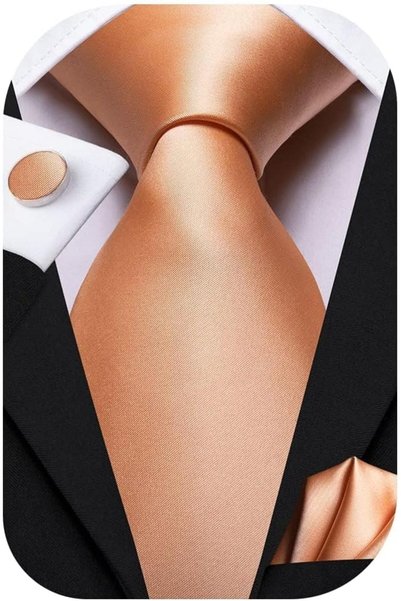 Dubulle Mens Paisely Silk Tie for Men Necktie and Pocket Square Set