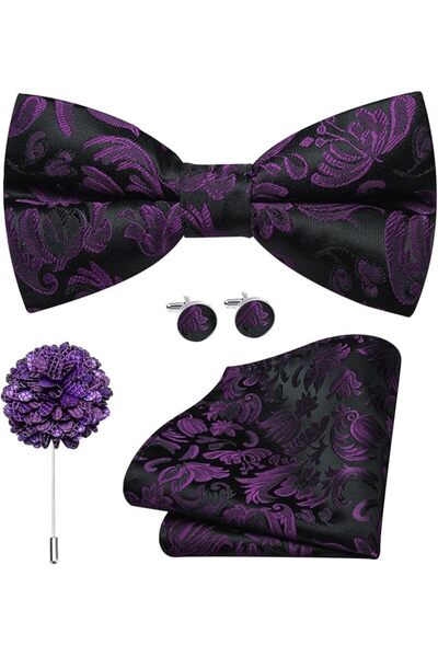 Dubulle Mens Paisely Silk Tie for Men Necktie and Pocket Square Set