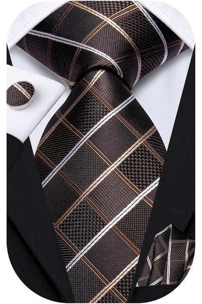 Dubulle Mens Paisely Silk Tie for Men Necktie and Pocket Square Set