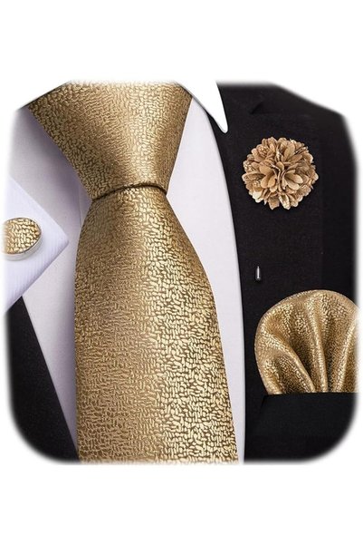 Dubulle Mens Paisely Silk Tie for Men Necktie and Pocket Square Set