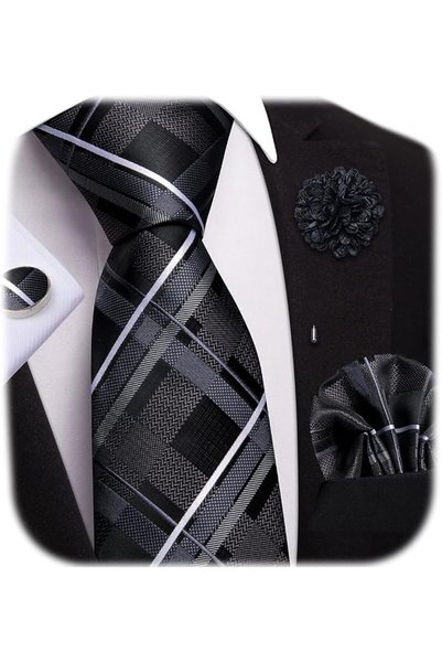 Dubulle Mens Paisely Silk Tie for Men Necktie and Pocket Square Set