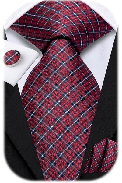 Dubulle Mens Paisely Silk Tie for Men Necktie and Pocket Square Set