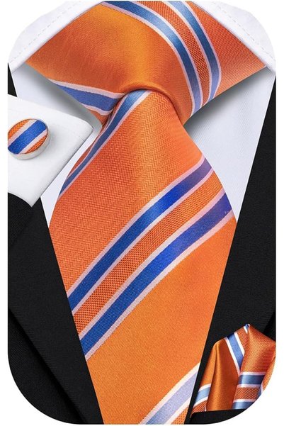 Dubulle Mens Paisely Silk Tie for Men Necktie and Pocket Square Set