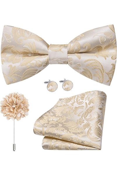Dubulle Mens Paisely Silk Tie for Men Necktie and Pocket Square Set