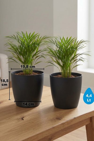 TEMMUZ HOME “2 Adet No:3 –4.4 Litre Tabaksız, Drenaj Izgaralı, Parlak Tasarım...