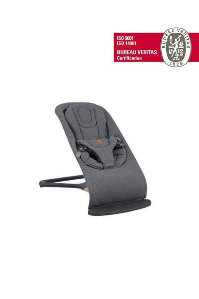 Will Bouncer Side Ana Kucağı - Anthracite