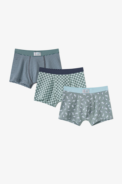 Penti Erkek Çocuk Mavi Dino Dash Pamuklu 3'lü Boxer