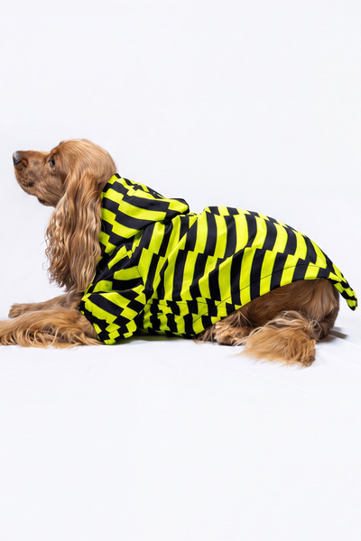 Moab Dog Raincoat, Water Repellent, Compatible with Back and Neck Collars, Snap Fasteners, Two-Level Adjustable