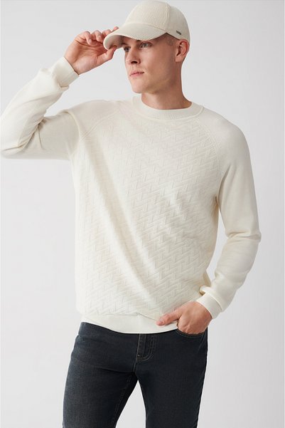 Avva Erkek Ekru Bisiklet Yaka Reglan Kol Triko Regular Fit Kazak A32Y5155