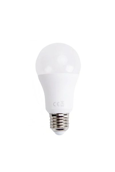 OEM LED λάμπα Aigostar A60 E27 19W 6400K