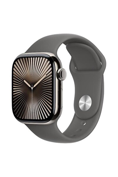 Apple Ceas Seria 10 GPS + Cellular, 42mm Titan, Curea Sport Gri Piatră S/M
