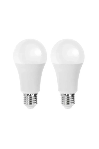 OEM LED λάμπα A60 E27 21W 6500K Aigostar 2 τεμάχια