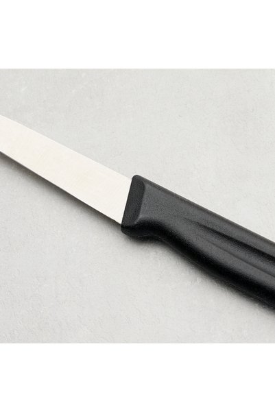 Aryıldız Düz Ağız Meyve Bıçağı Siyah 17 cm