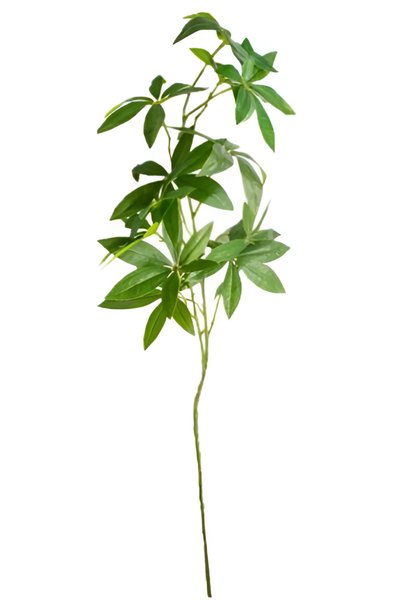 OEM Τεχνητό διακοσμητικό κλαδί Money Tree 80 εκ. SDS-29422