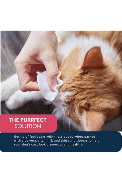 StarDotHash Dog Wipes Easy to Use Pet Grooming Wipes 500Pcs - Thick Unscented Cat Wipes with Aloe Vera & Vitamin E